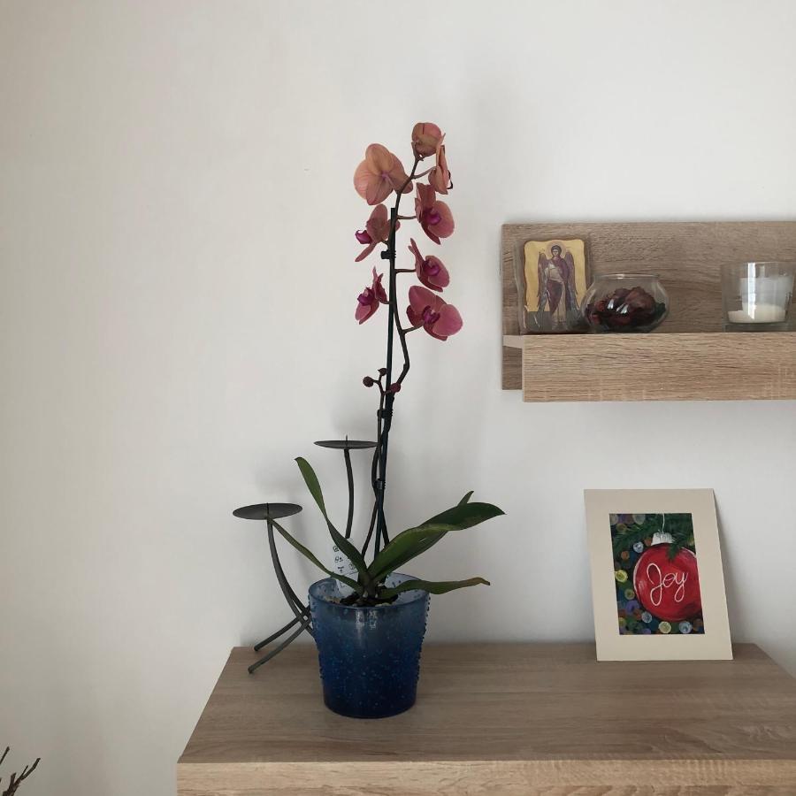 Grig Apartament Διαμέρισμα Βουκουρέστι Εξωτερικό φωτογραφία